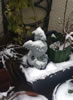 3-Dragon Garding Our Garden In Winter